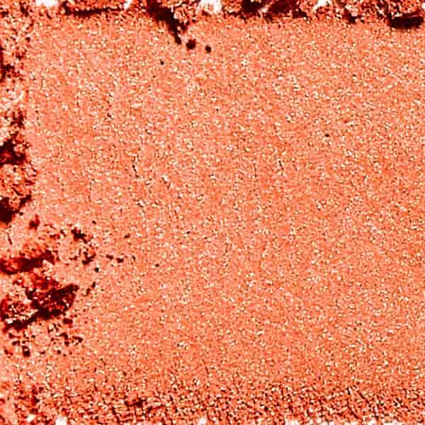 Blush of Paradise Life is A Peach